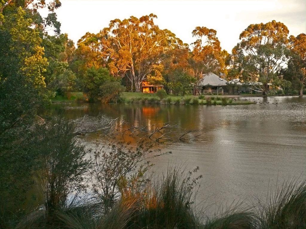 Vila The Burrow At Wombat Bend Dixons Creek Pokoj fotografie