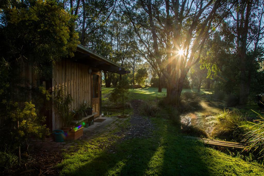 Vila The Burrow At Wombat Bend Dixons Creek Exteriér fotografie