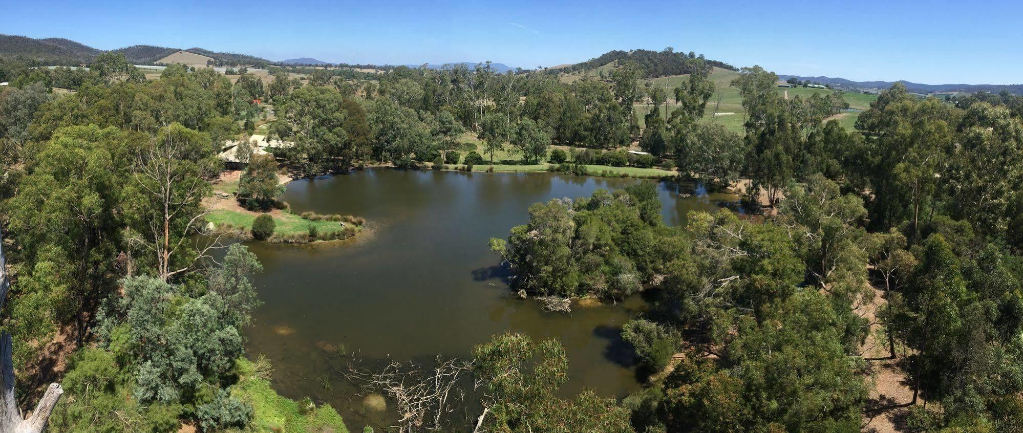 Vila The Burrow At Wombat Bend Dixons Creek Exteriér fotografie