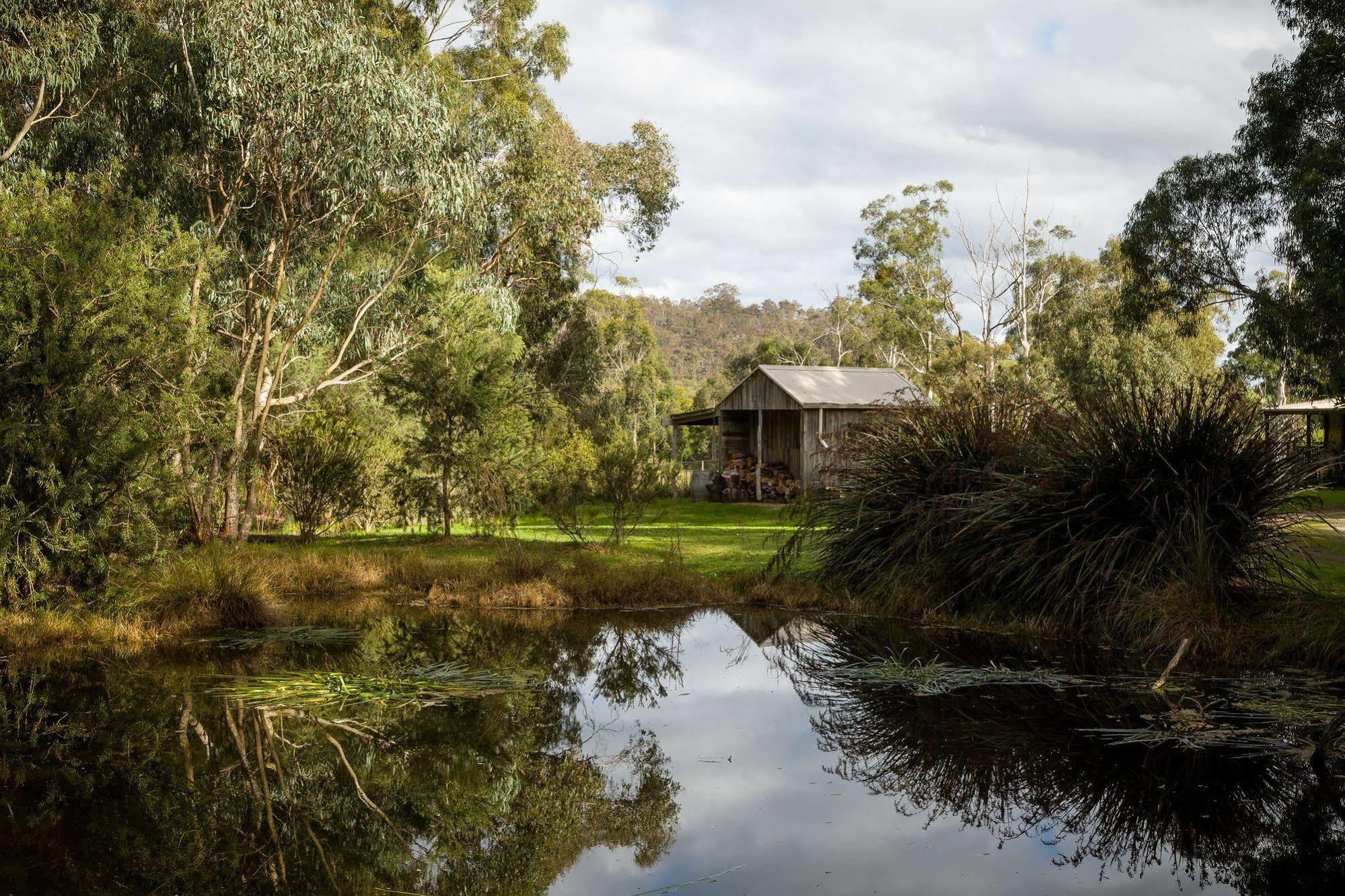 Vila The Burrow At Wombat Bend Dixons Creek Exteriér fotografie