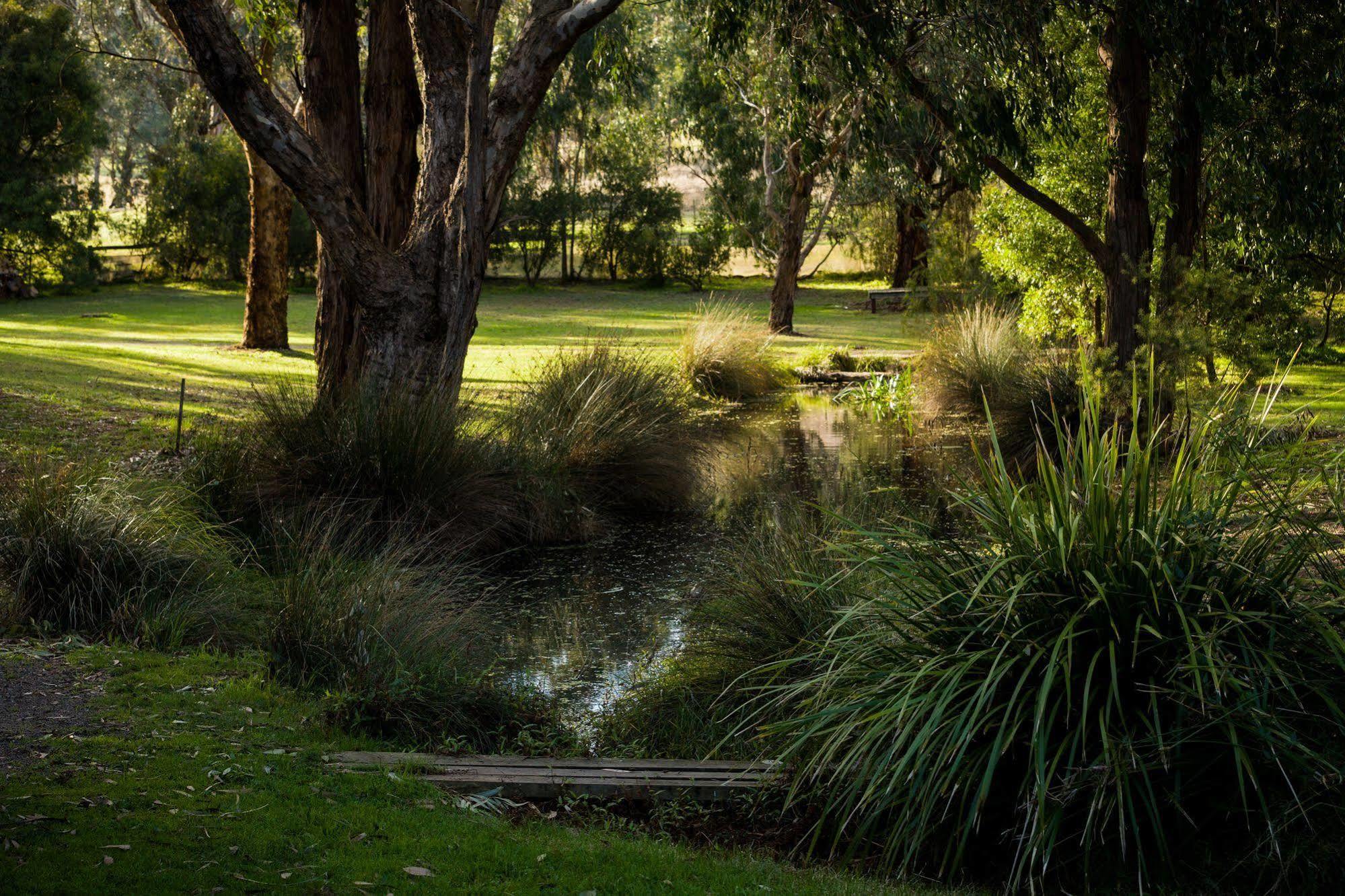 Vila The Burrow At Wombat Bend Dixons Creek Exteriér fotografie