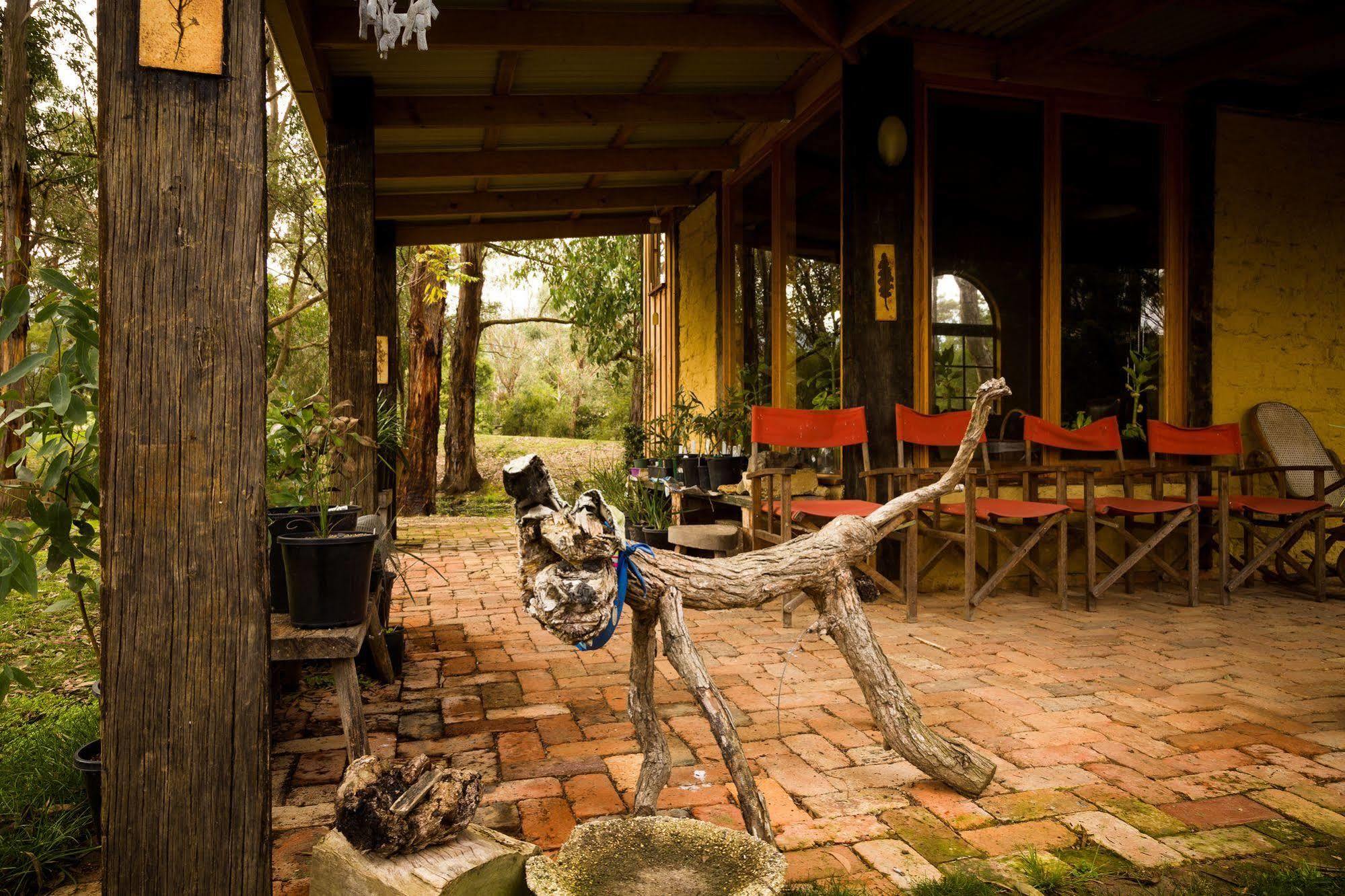 Vila The Burrow At Wombat Bend Dixons Creek Exteriér fotografie