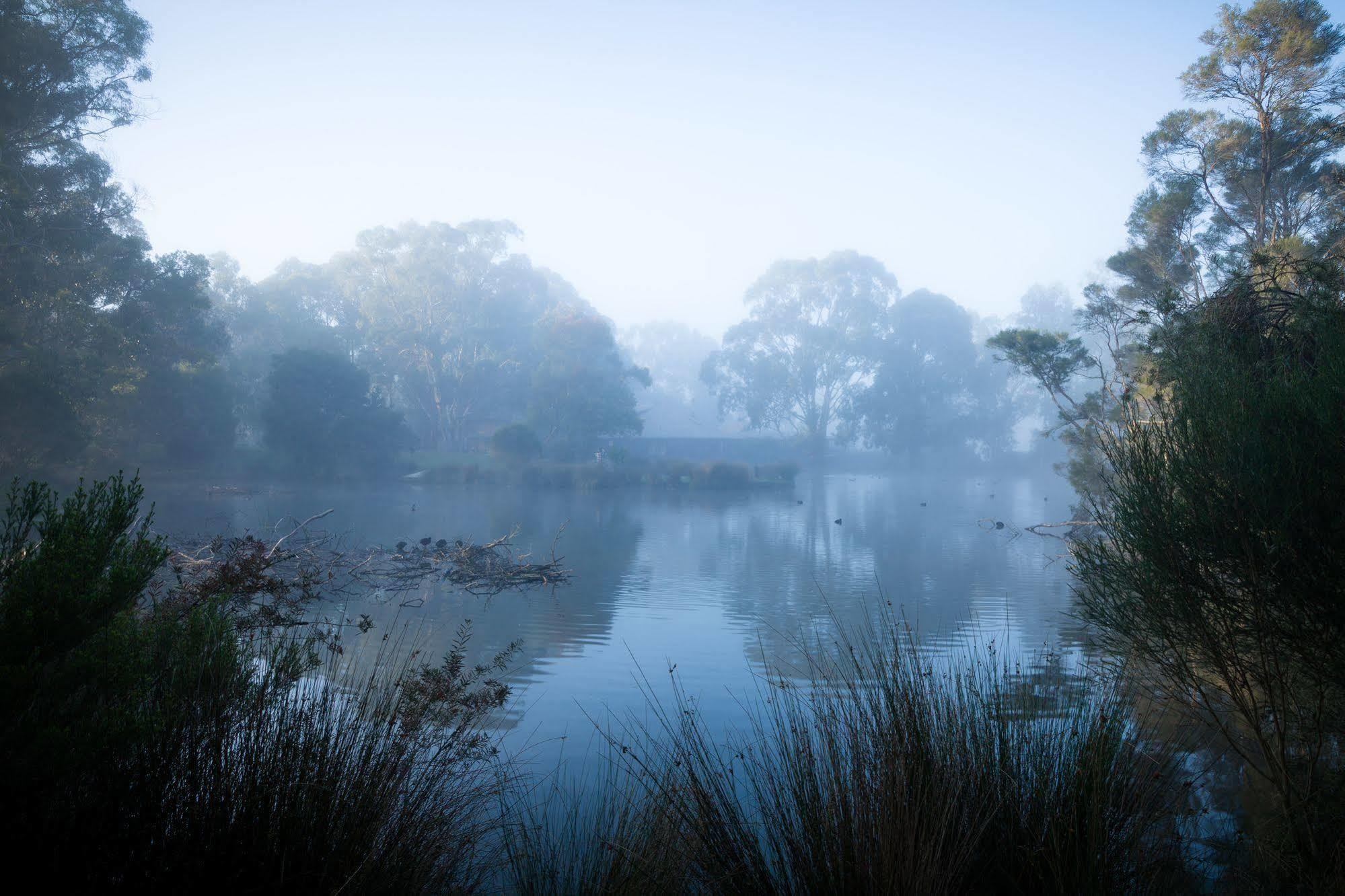 Vila The Burrow At Wombat Bend Dixons Creek Exteriér fotografie