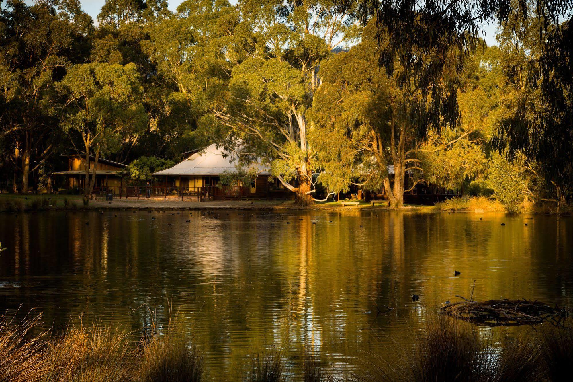 Vila The Burrow At Wombat Bend Dixons Creek Exteriér fotografie